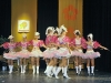 _DSC3842 kopie